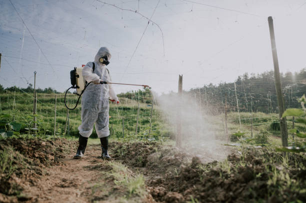 Best Pest Control Cost  in Cowan, TN