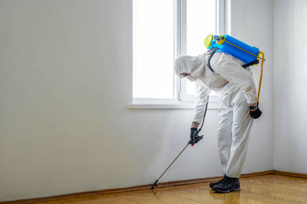 Best Best Pest Control Companies  in Cowan, TN