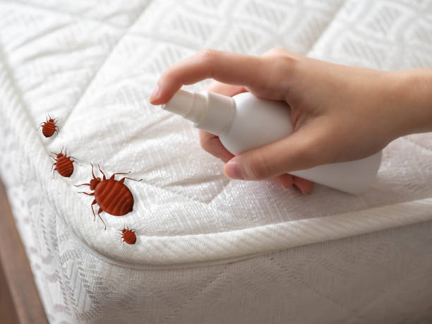 Best Pest Control Treatment  in Cowan, TN