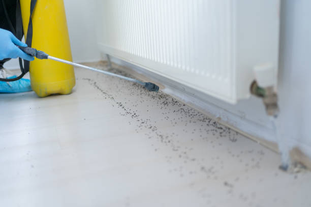 Best Local Pest Control Services  in Cowan, TN