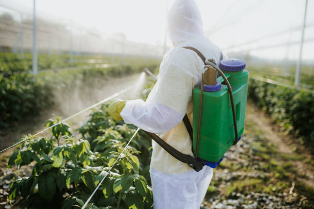 Best Insect Control  in Cowan, TN